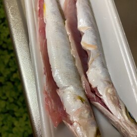 カマスの塩焼き レシピ 作り方 By 桜 咲子 楽天レシピ カマスの塩焼き レシピ 作り方 By 桜 咲子 楽天レシピ